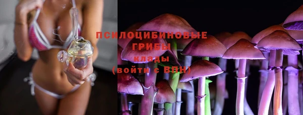 не бодяженный Беломорск