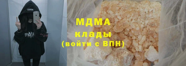 индика Белоозёрский