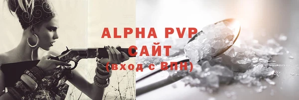 индика Белоозёрский