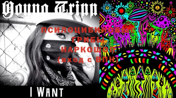 индика Белоозёрский