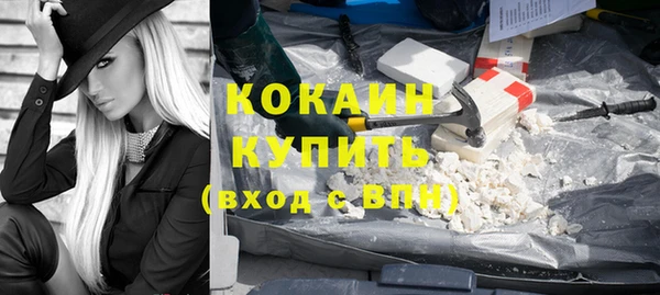 индика Белоозёрский